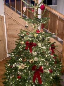 Professional Christmas Decorator 11